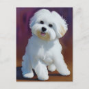 Search for bichons postcards Watercolor