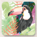 Recherche de toucans dessous de verres Oiseaux