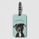 Search for pitbull accessories Cute