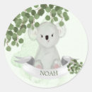 Search for koala stickers Boy