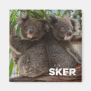 Recherche de joey Australie