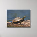 Search for slow canvas prints Nature