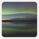 Search for tree sunset stickers Usa