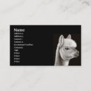 Recherche de perou cartes visite Lama