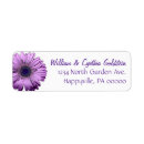 Recherche de gerbera daisy return address labels Été