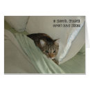 Recherche de chats de lol Humour