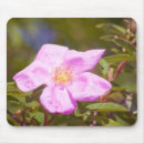 Search for shrub mousepads Summer
