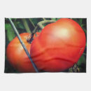 Search for food photography tea towels Tomato