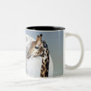 Recherche de namibie tasses Dehors