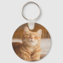 Search for sleepy kitty keychains Tired