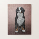 Search for bernese mountain dog puzzles Beautiful