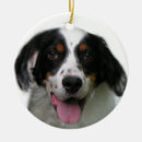 Search for stocking stuffer ornaments Dog