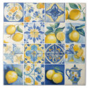 Search for amalfi tiles Coast