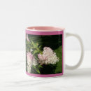 Recherche de hortensias tasses Fleur