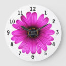 Search for daisy flower clocks Petals