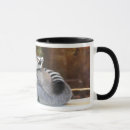Search for lemurs mugs Nature