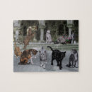 Search for calico cats puzzles Orange