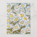 Search for flower illustration postcards Floral