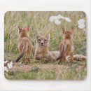 Search for larry ditto mousepads Prairie