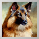 Search for tervuren posters Dog