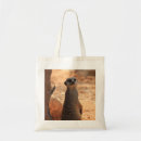 Search for timon Animal