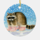 Search for raccoon ornaments Snow