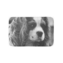 Search for cavalier king charles spaniel gifts Puppies