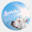 Search for white pitbull stickers Dogs