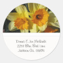Search for yellow daffodil stickers Nature