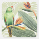 Recherche de palmier vert autocollants Aquarelle