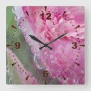 Recherche de pivoine rose horloges Poney