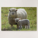 Search for lamb puzzles Baby