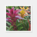 Search for bromeliads Plant