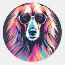 Search for afghan stickers Pet