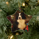 Search for collie ornaments Animal