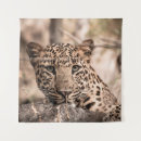 Recherche de léopard art Faune