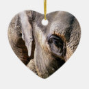 Search for mammals ornaments Elephant