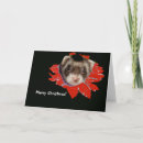 Search for ferret christmas cards Cute