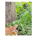 Recherche de bambi posters Cerf