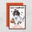 Recherche de dachshund halloween cards Citrouille