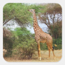 Recherche de tache animale de girafe autocollants Africain
