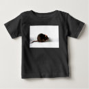 Search for cute rat baby clothes Rodent