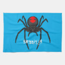 Recherche de araignée cuisine linges Déplaisant