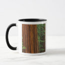 Search for adam jones mugs Forest