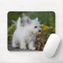 Recherche de westie tapis souris Dog