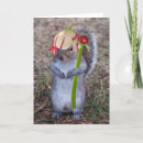 Search for squirrel easter cards Animal