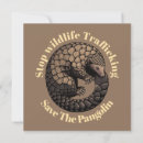 Search for trafficking Pangolin