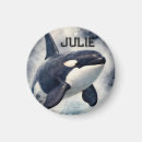 Search for breaching magnets Killer whale