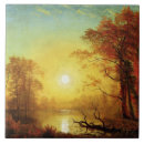Search for albert tiles Nature