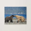Search for brown bear puzzles Mammal